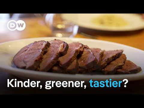 Fake steak – Future-proof food | DW Documentary