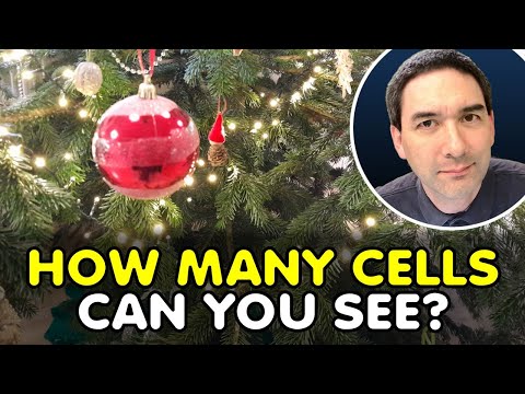 How many CELLS does a Christmas Tree have?