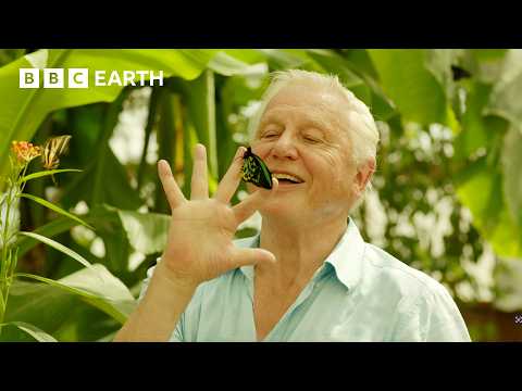 This Is One of David Attenborough’s Favourite Animals | Attenborough’s Ark | BBC Earth