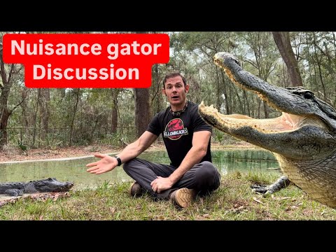 Nuisance Gator Discussion!!