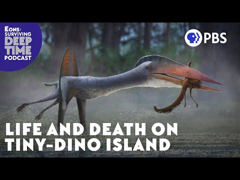 Life and Death on Tiny-Dino Island