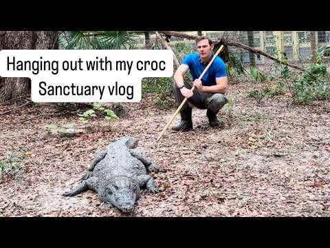 Hanging out with my croc & sanctuary vlog