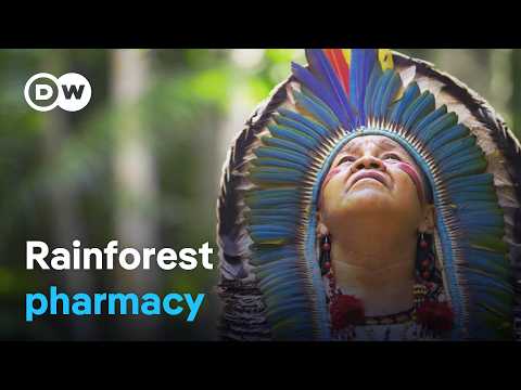 The healing powers of nature and the magical plants of the Amazon rainforest | DW Documentary