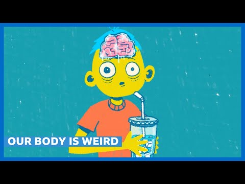 The Weirdest Facts About the Body, Explained | The Science of the Human Body