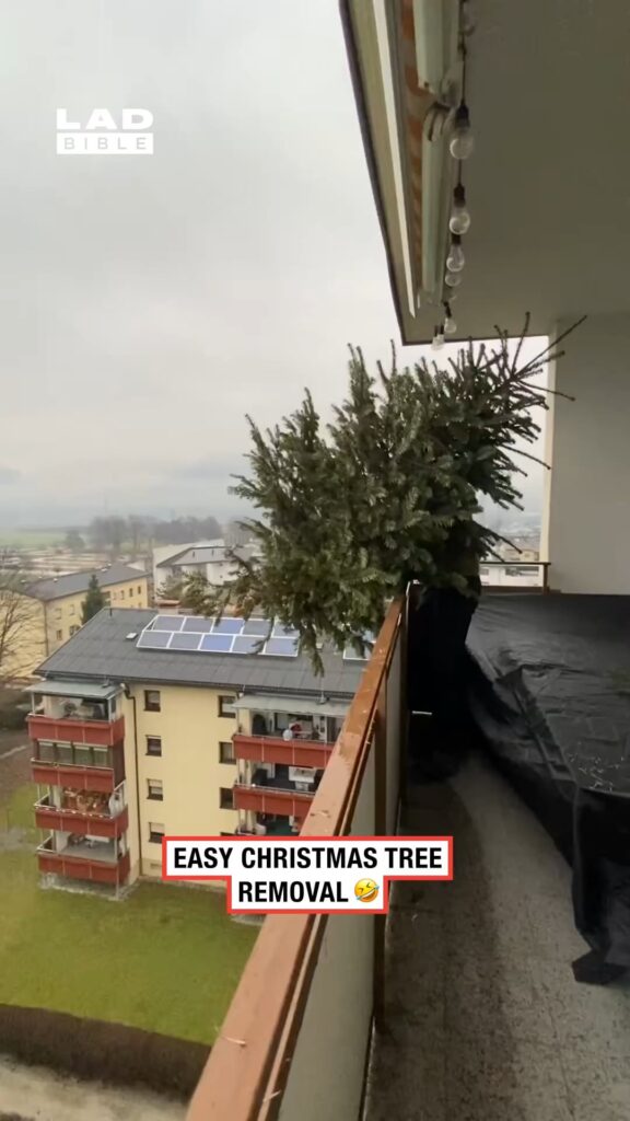 Getting rid of the Christmas tree