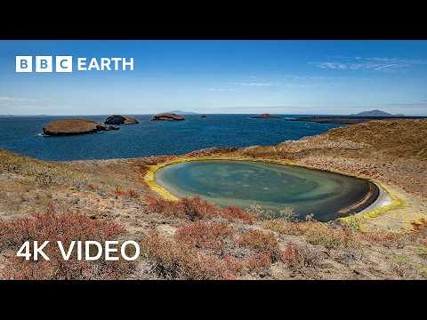 Explore The Secret Areas of Earth Where Nature Remains Untouched | 4K UHD | BBC Earth