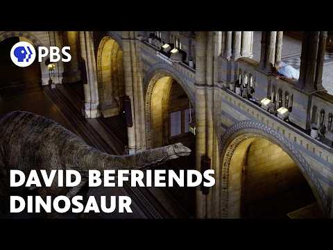 David Attenborough Befriends a Dinosaur