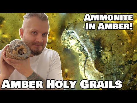 Holy grails of Amber collecting – Burmite Amber edition