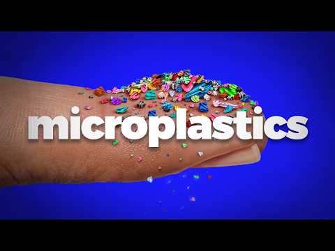 Microplastics Are More Dangerous Than You Think