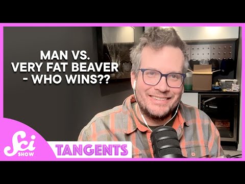 Plagues | SciShow Tangents Podcast