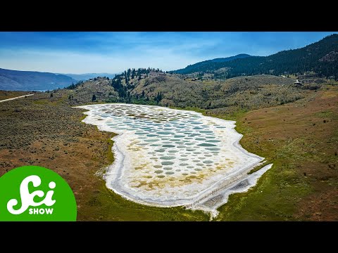 This Canadian Lake Changes Its Spots Every Year