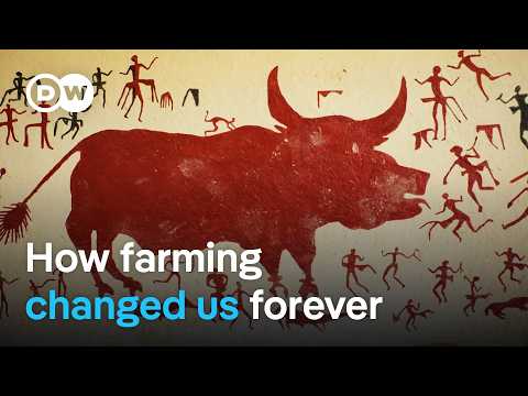 From hunter-gatherers to farmers – How did humanity change in the Neolithic period? | DW Documentary