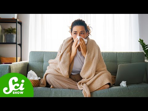 The Flu May Cause Alzheimer’s