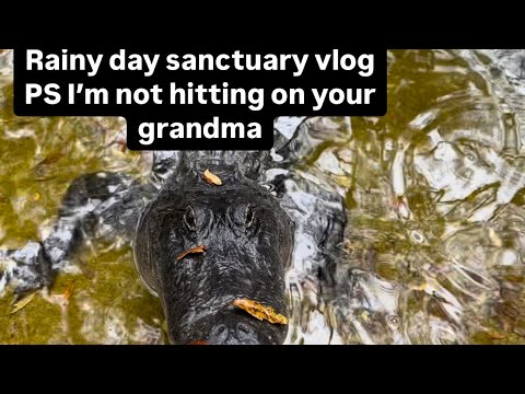 Rainy day sanctuary vlog—PS I’m not hitting on your grandma