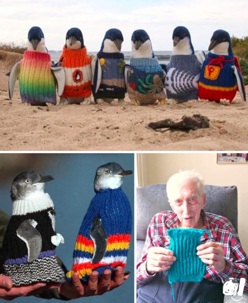 Australia’s oldest man (110) spent his last days knitting sweaters for injured penguins