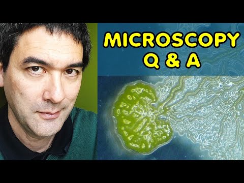 How can microbes talk to each other? | MHPodcast 040