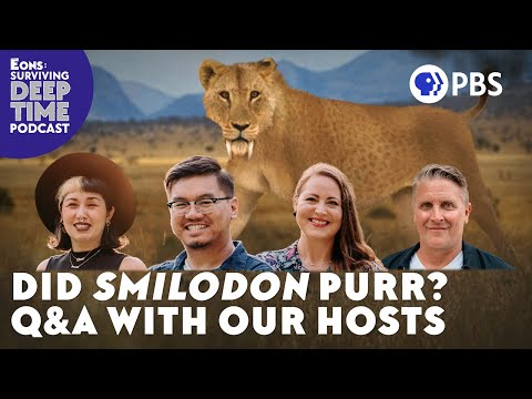 Could Smilodon Purr? And All Your Other Burning Questions