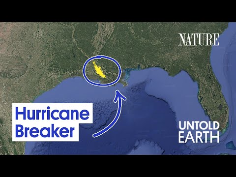 How Louisiana’s Mega Swamp Breaks Hurricanes