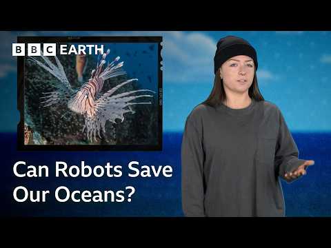 The Robot ‘Predators’ Zapping Lionfish For Conservation | Save Our Species | BBC Earth Science