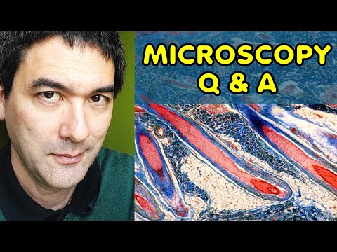 Microscopy Questions and Answers | MHPodcast 041