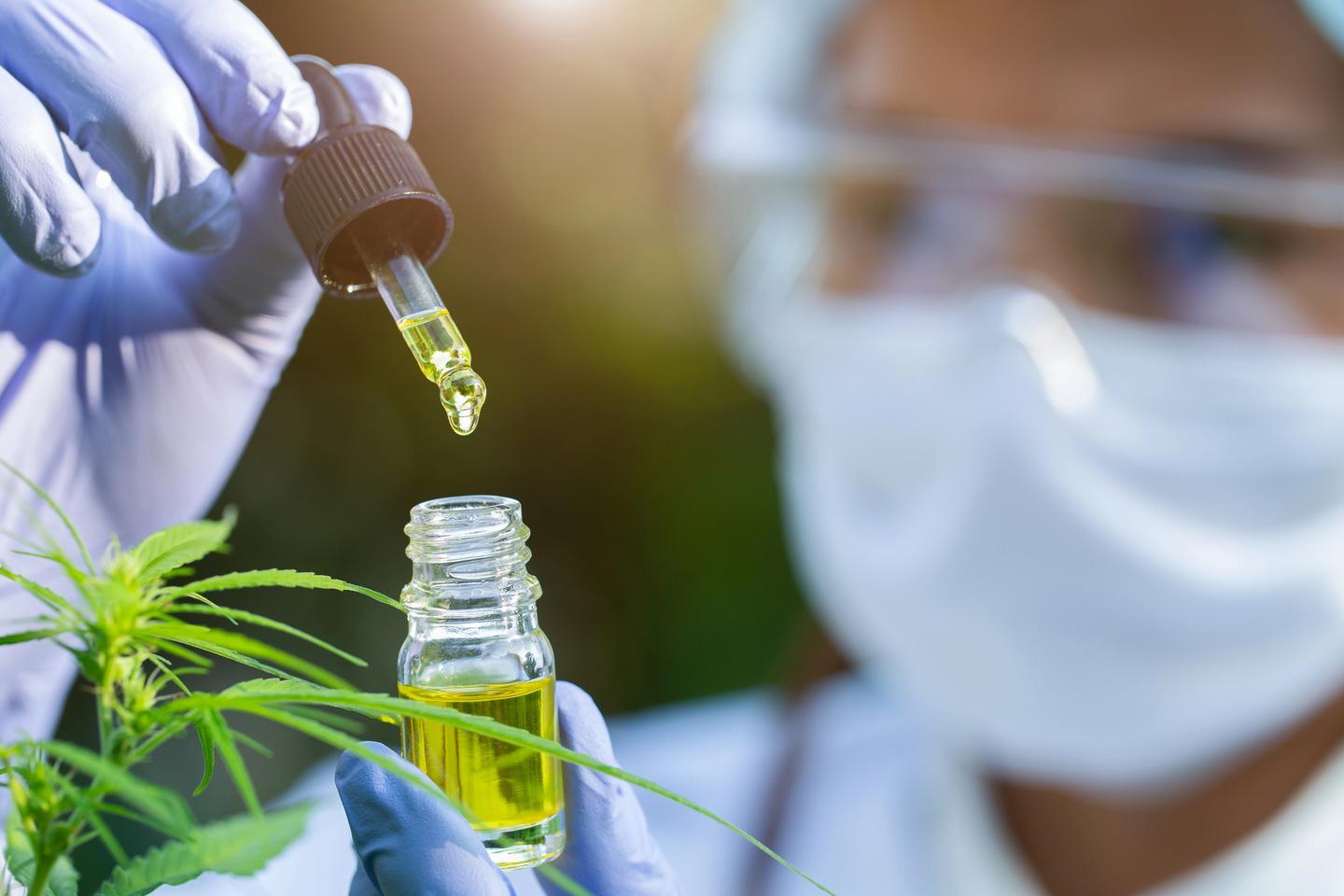 Better CBD: Breakthrough formulation improves efficacy and shelf life