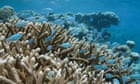 Trump order to loosen fishing regulations poses major risks, experts warn