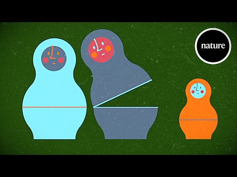 How quickly do humans mutate? Four generations help answer the question