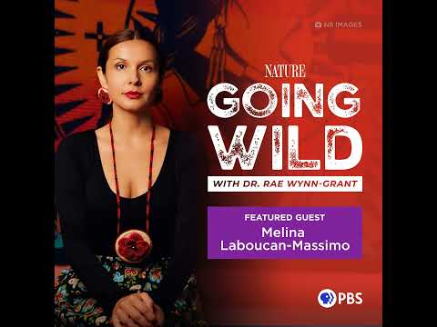 Fighting Violence Against the Lubicon Cree Land with Melina Laboucan-Massimo