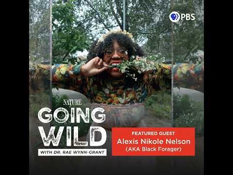 From Foraging to Fame: How Alexis Nikole Nelson Became @blackforager