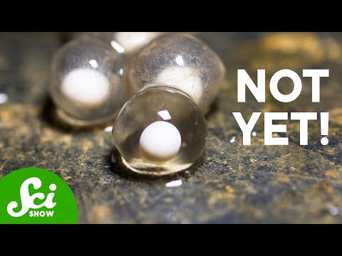 How Do Eggs Know When to Hatch?