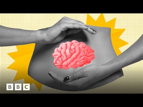 How your ‘second brain’ changes the way you think  | BBC Global